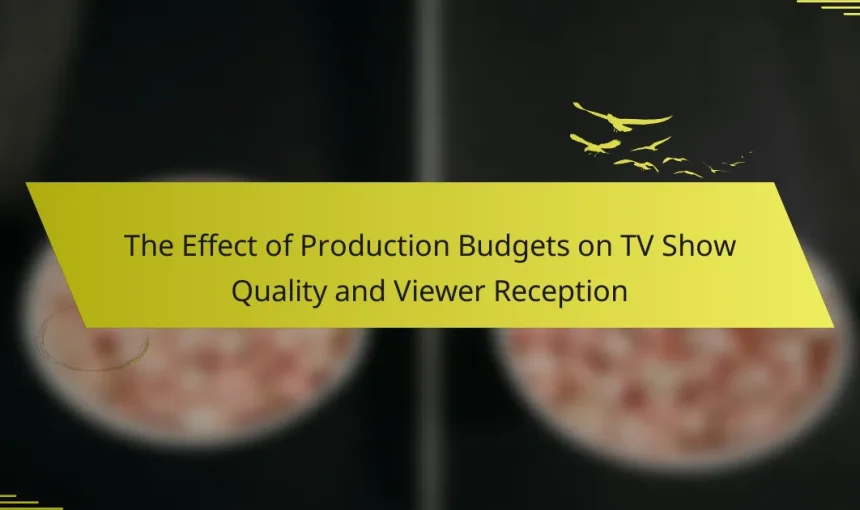 The Effect of Production Budgets on TV Show Quality and Viewer Reception
