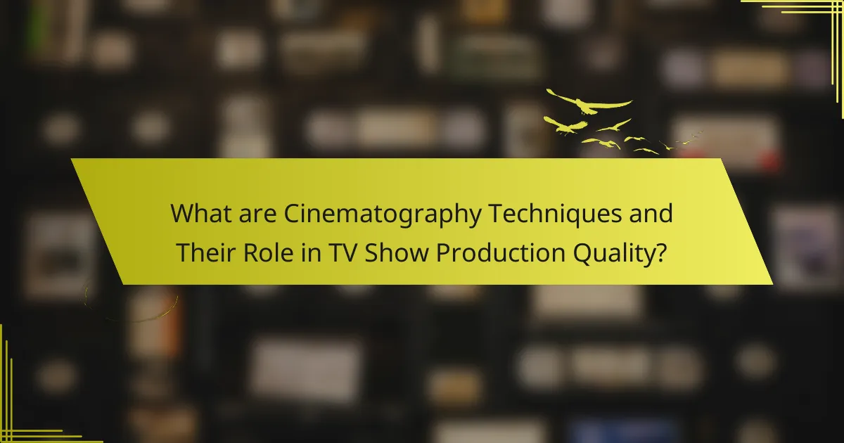What are Cinematography Techniques and Their Role in TV Show Production Quality?