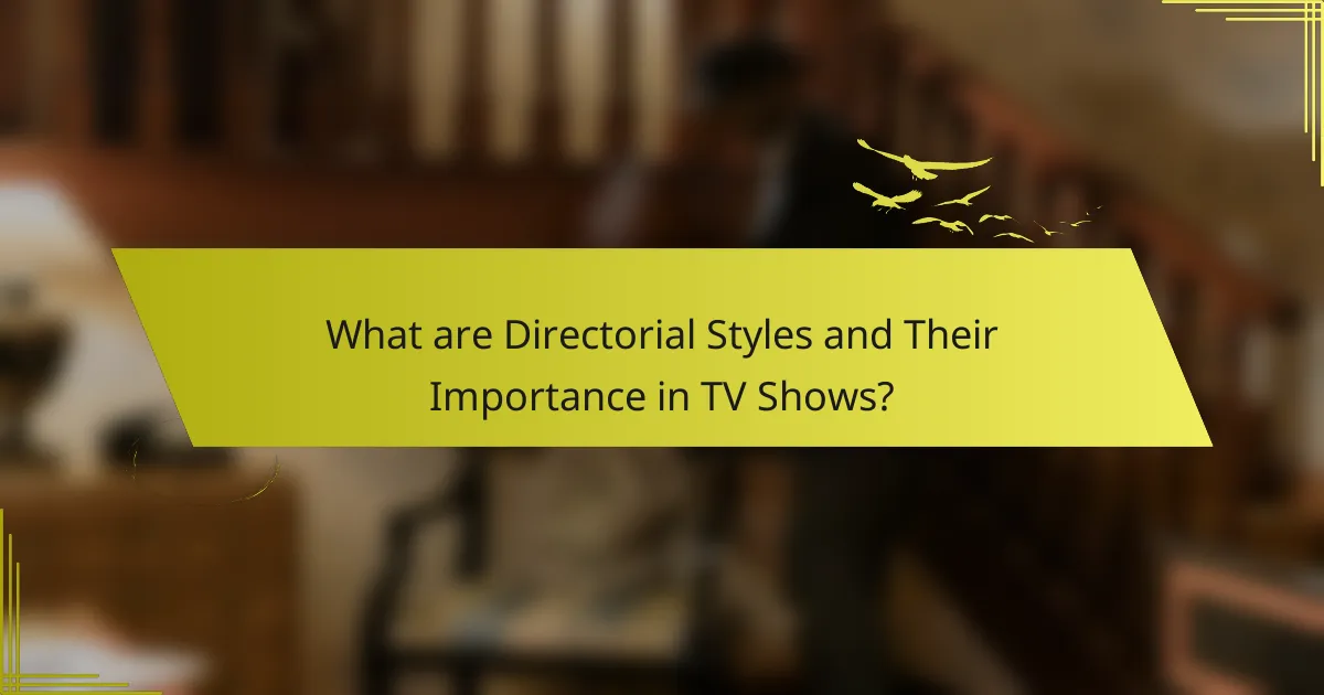 What are Directorial Styles and Their Importance in TV Shows?