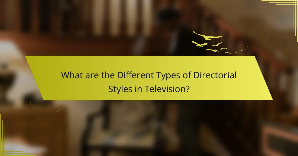 What are the Different Types of Directorial Styles in Television?