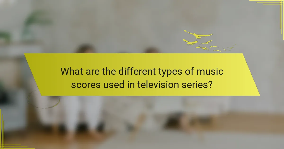 What are the different types of music scores used in television series?