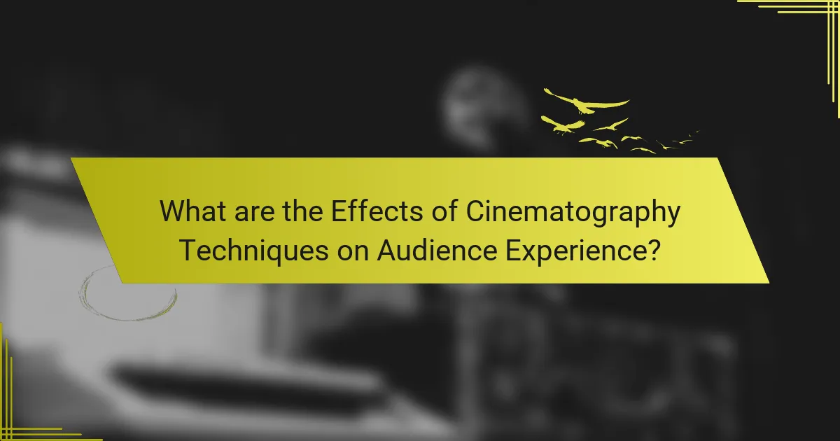 What are the Effects of Cinematography Techniques on Audience Experience?
