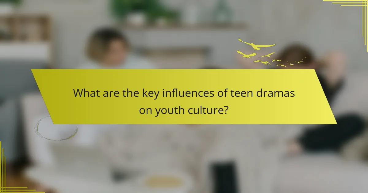 What are the key influences of teen dramas on youth culture?