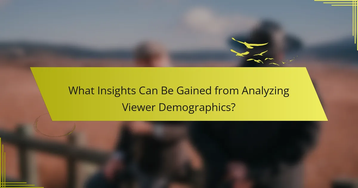 What Insights Can Be Gained from Analyzing Viewer Demographics?