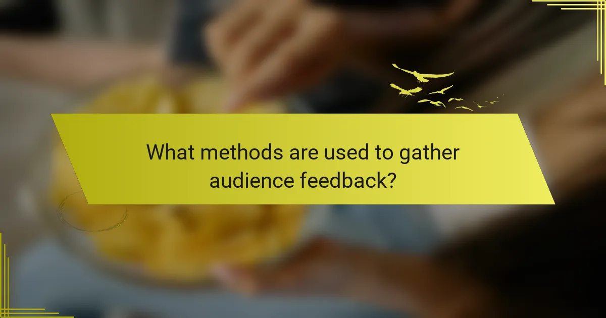 What methods are used to gather audience feedback?